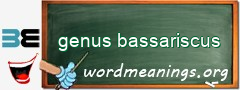 WordMeaning blackboard for genus bassariscus
